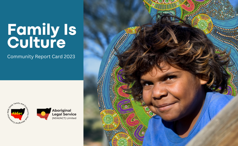 Publications - AbSec | NSW Child, Family and Community Peak Aboriginal ...